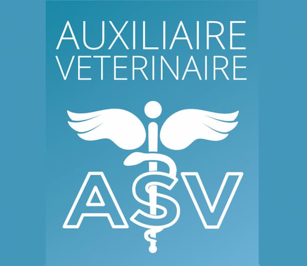 Auxiliaire Vétérinaire ASV | Métier et Formation Texte blanc "AUXILIAIRE VETERINAIRE" et logo ASV stylisé avec caducée ailé en blanc sur un fond bleu dégradé.
