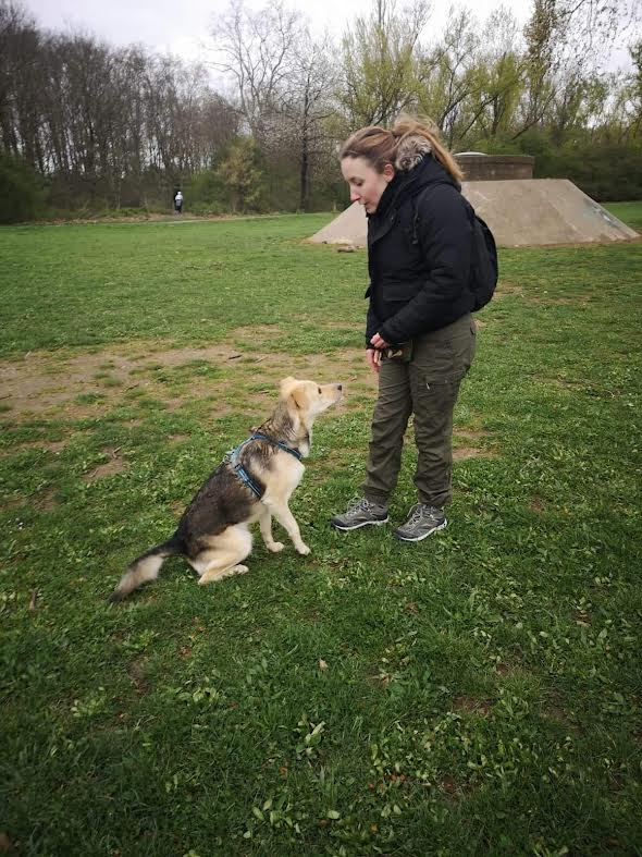 Femme en veste noire et pantalon vert interagissant avec un chien attentif assis sur l'herbe dans un parc verdoyant.