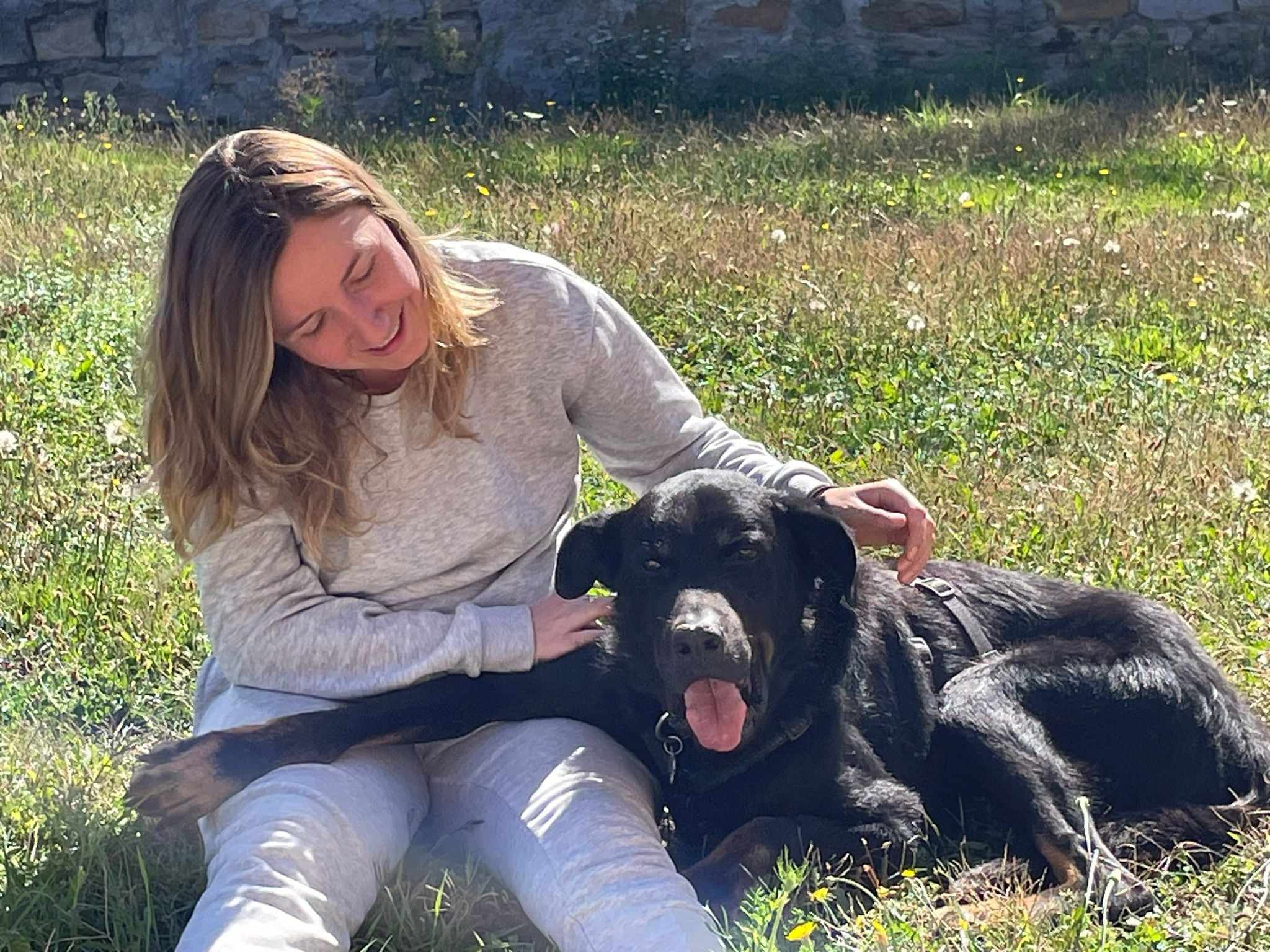 Femme souriante en gris caressant son grand chien noir allongé sur l'herbe ensoleillée. Moment d'affection et de détente.