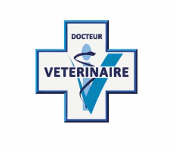 Vétérinaire Docteur : Logo pour la santé animale Logo Docteur Vétérinaire : croix bleue et blanche avec formes stylisées symbolisant santé animale et expertise médicale.